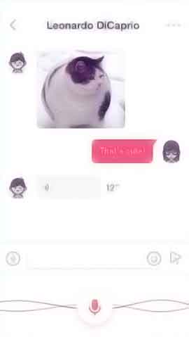 网站攻击工具手机版软件程序维护界面